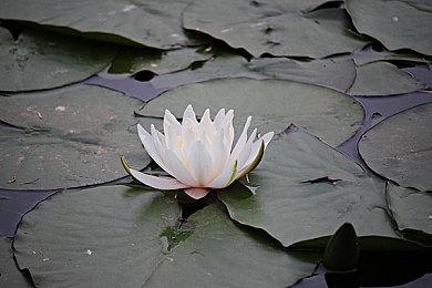 高能电玩节：女儿养成游戏《火山的女儿》新宣传片